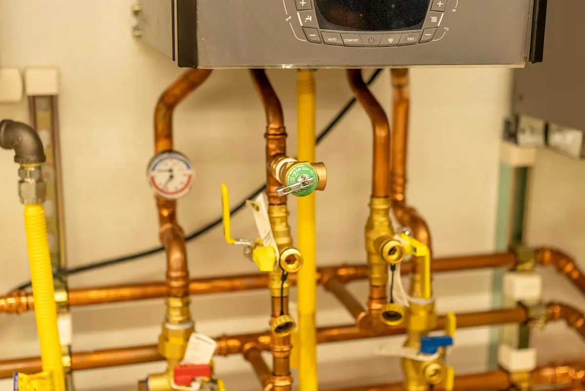 Licensed technician providing Emergency Plumbing for a homeowner in Pingree Grove